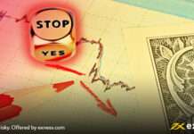 এক্সনেস কি ফান্ড ম্যানেজমেন্ট করার সুবিধা দেয়? Exness Fund Management | এক্সনেস ফান্ড ম্যানেজমেন্ট