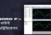 NordFX এর একাউন্ট কিভাব ভেরিফাই করবেন? NordFX Verification